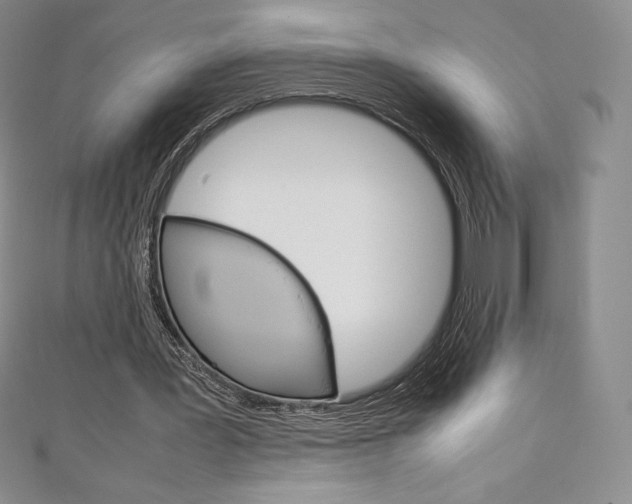 X0000111140387200906301021