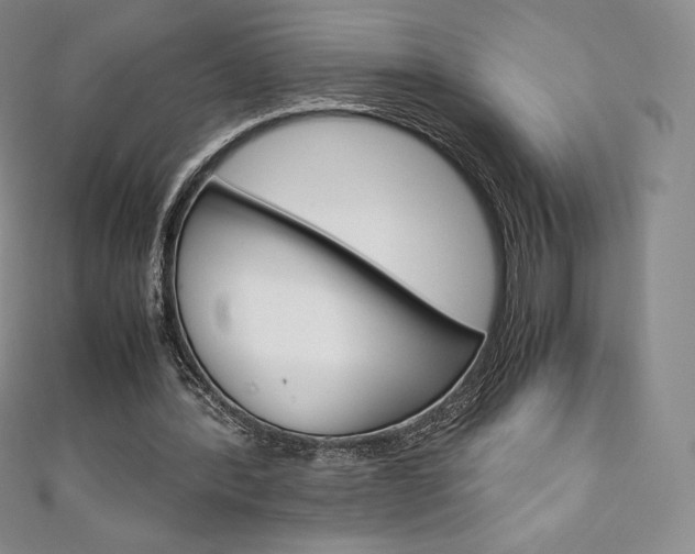 X0000111140388200906301021