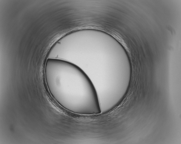 X0000111140389200906301021