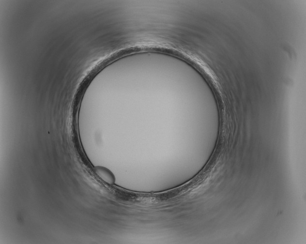 X0000111140391200906301021