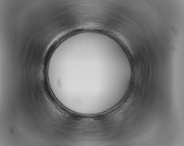 X0000111140392200906301021