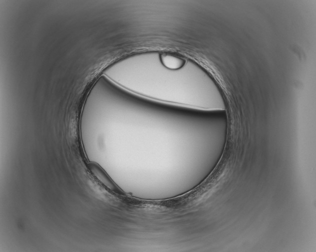 X0000111140393200906301021