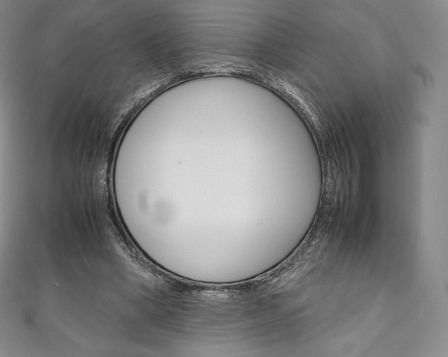 X0000111140394200906301021