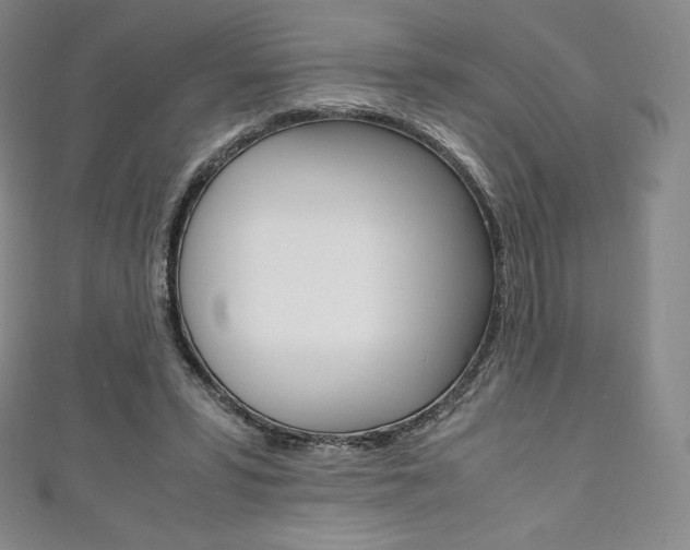 X0000111140399200906301021