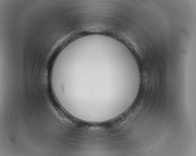 X0000111140400200906301021