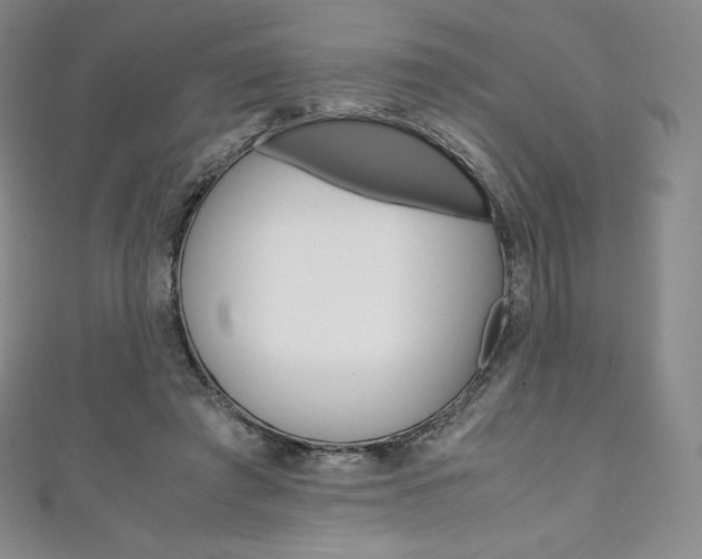 X0000111140401200906301021