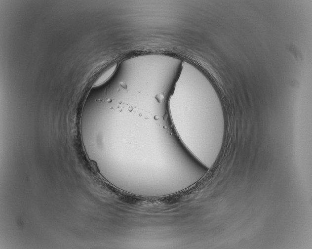 X0000111140403200906301021
