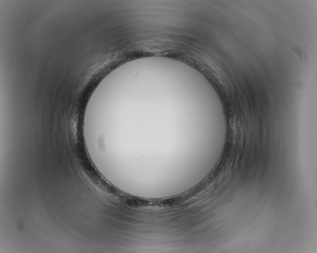 X0000111140404200906301021