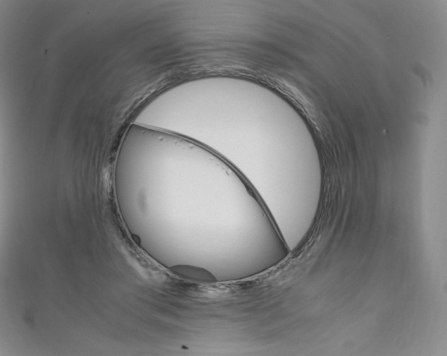 X0000111140405200906301021