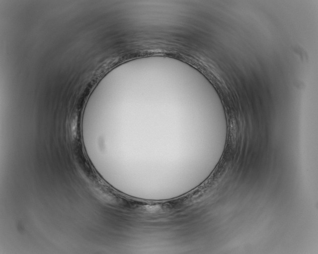 X0000111140406200906301021