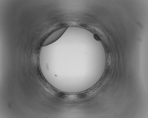 X0000111140409200906301021