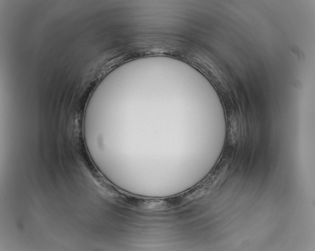 X0000111140410200906301021