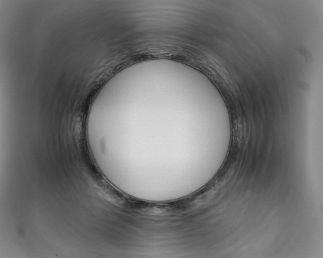 X0000111140412200906301021