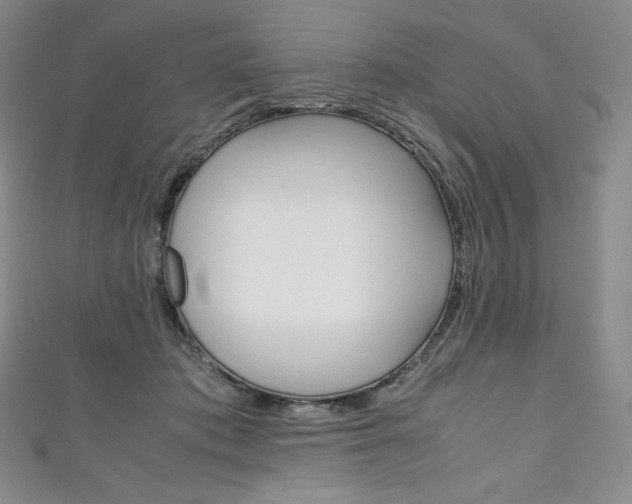 X0000111140413200906301021