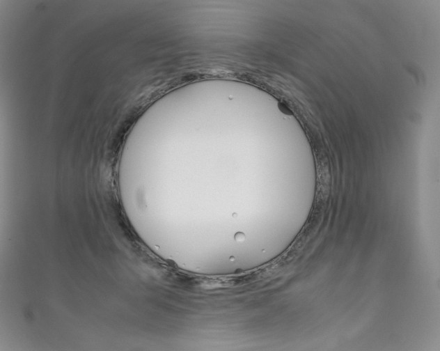X0000111140415200906301021