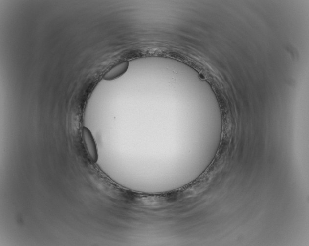 X0000111140417200906301021