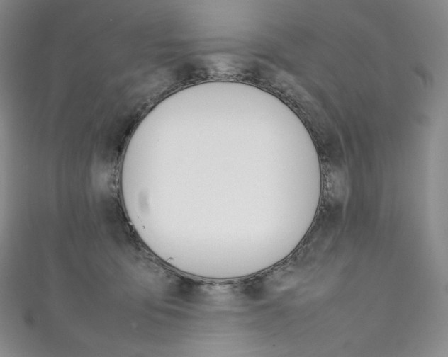 X0000111140419200906301021