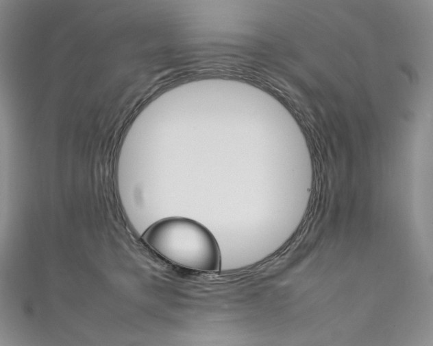 X0000111140421200906301021