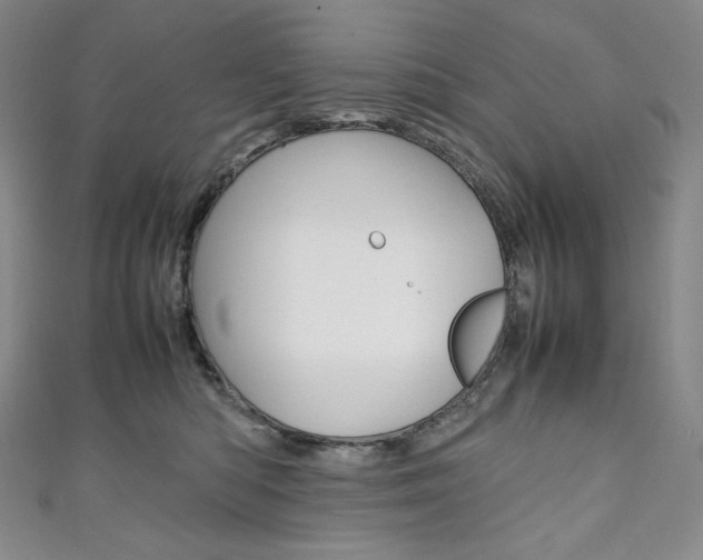 X0000111140422200906301021