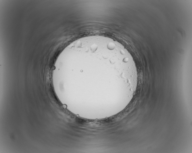 X0000111140423200906301021