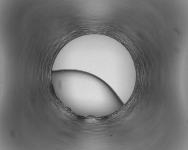 X0000111140425200906301021