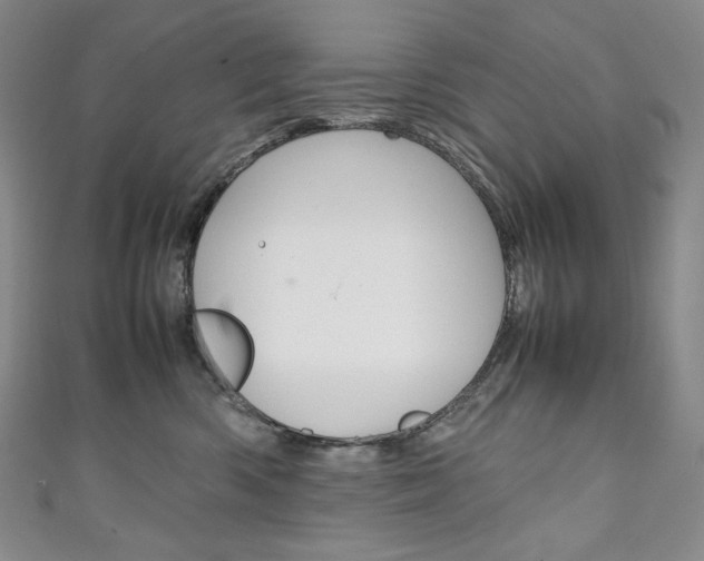 X0000111140426200906301021