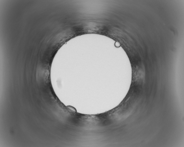X0000111140427200906301021