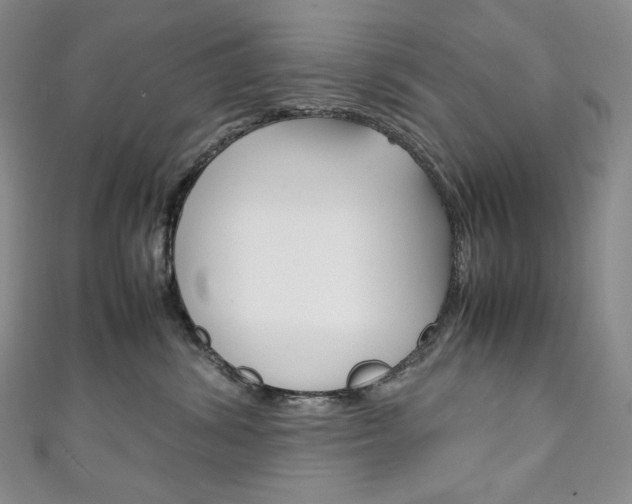 X0000111140428200906301021