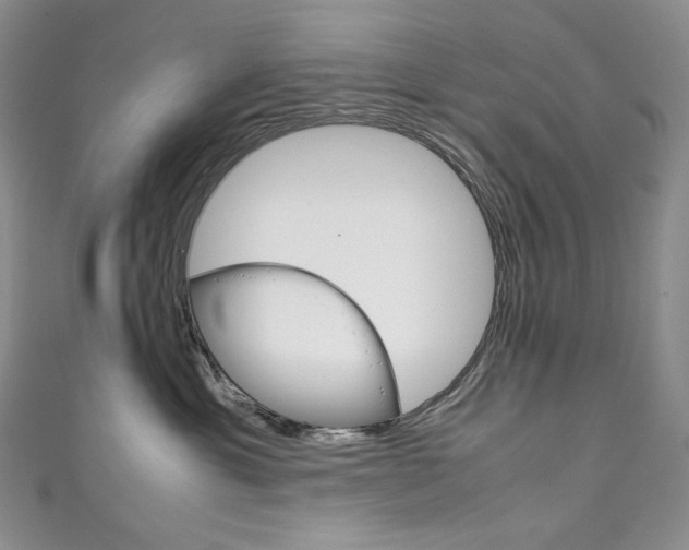 X0000111140429200906301021