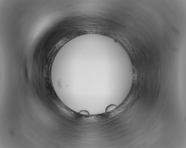 X0000111140430200906301021