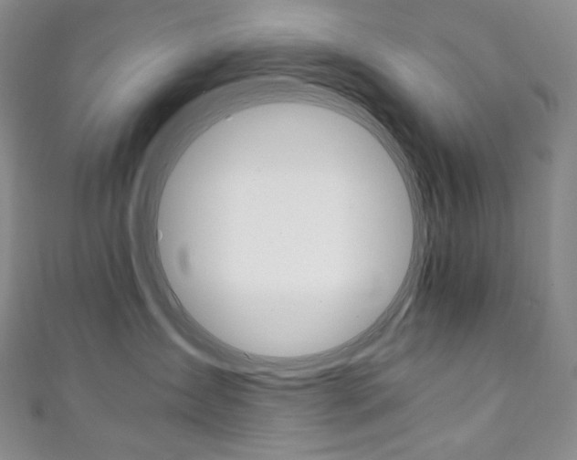 X0000111140431200906301020