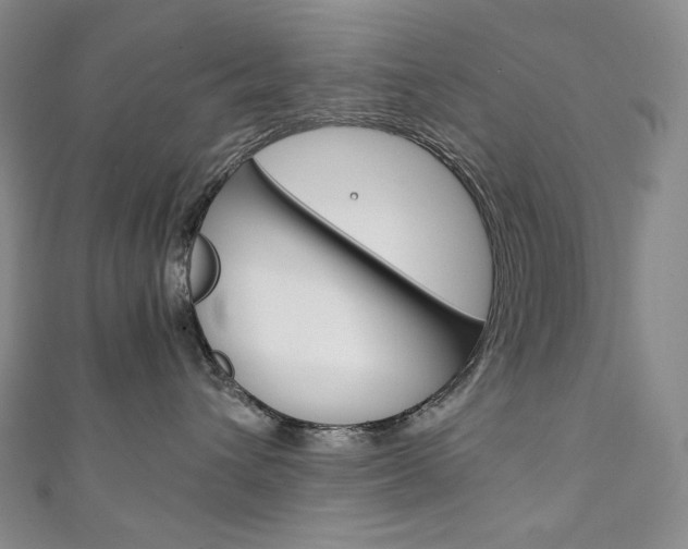 X0000111140432200906301020