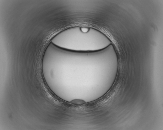 X0000111140433200906301020