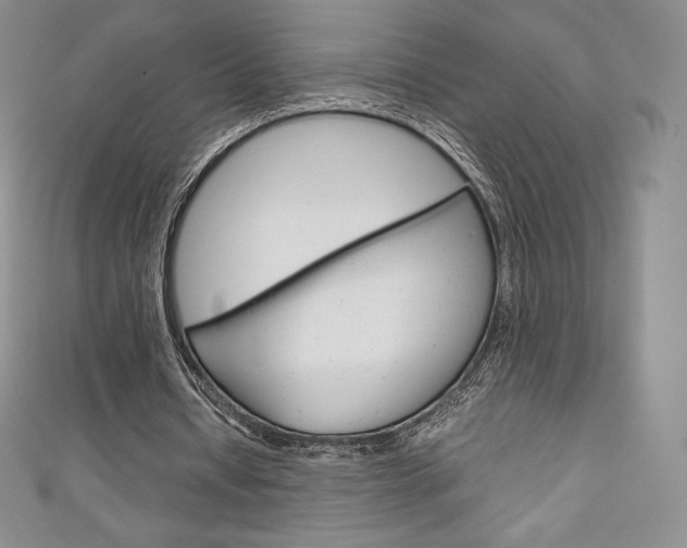 X0000111140434200906301020