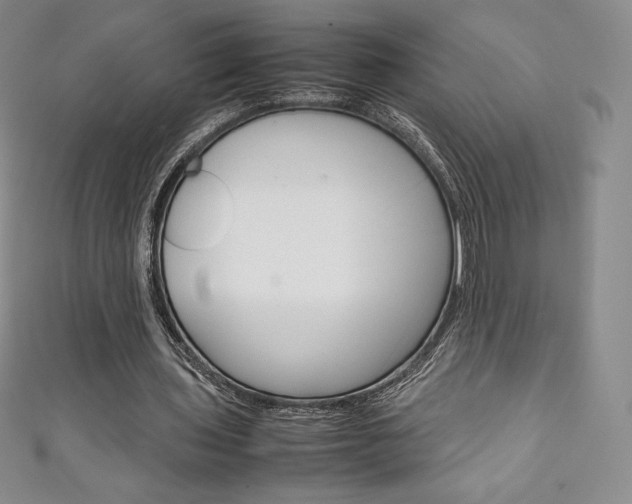 X0000111140435200906301020