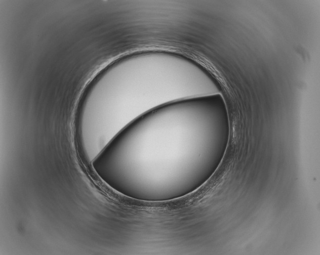 X0000111140436200906301020