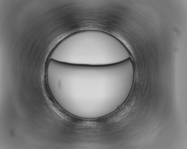 X0000111140437200906301020