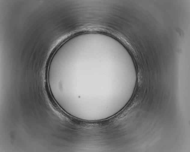 X0000111140438200906301020