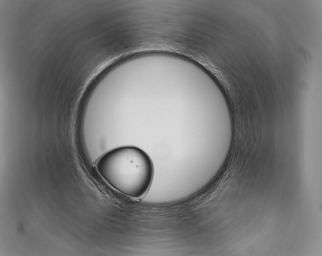 X0000111140440200906301020