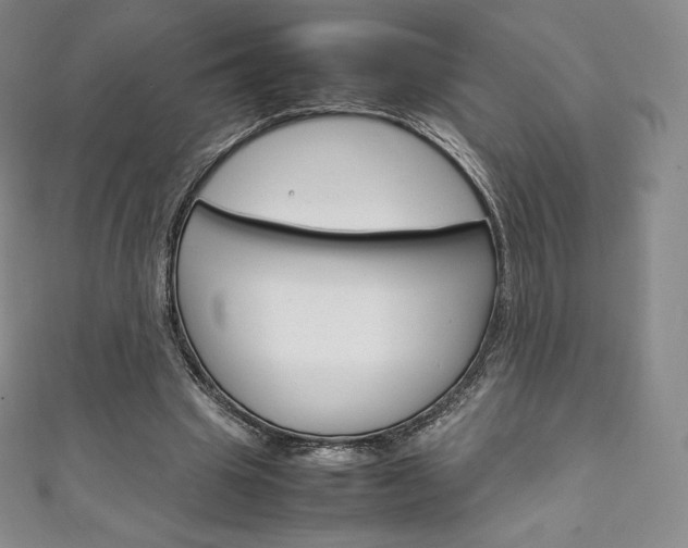 X0000111140441200906301020