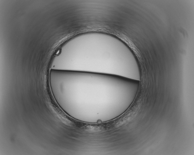 X0000111140442200906301020