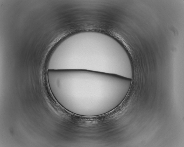 X0000111140443200906301020