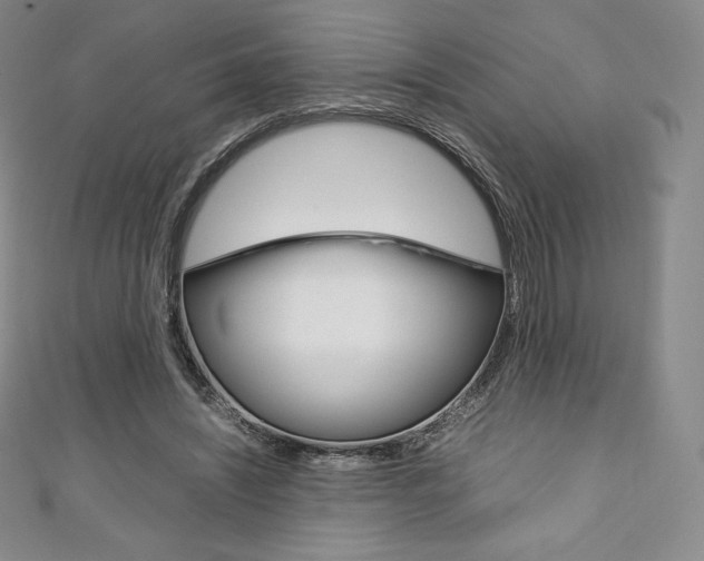 X0000111140444200906301020