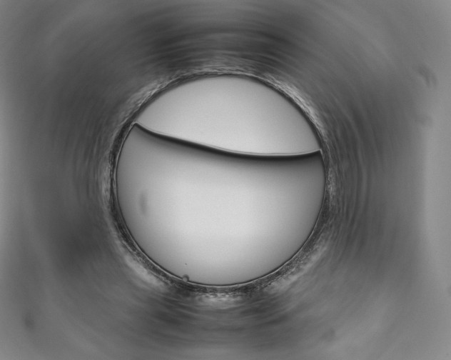 X0000111140445200906301020