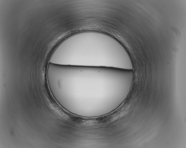 X0000111140446200906301020