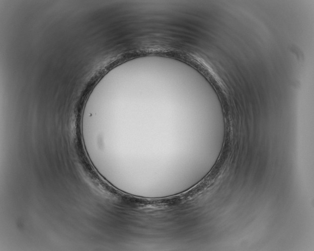 X0000111140447200906301020
