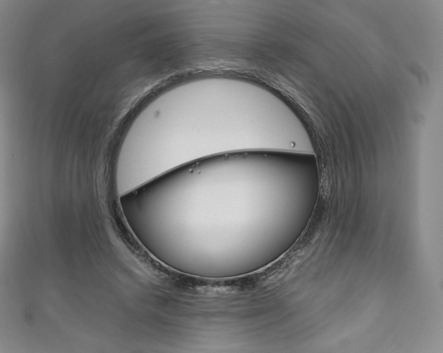 X0000111140448200906301020