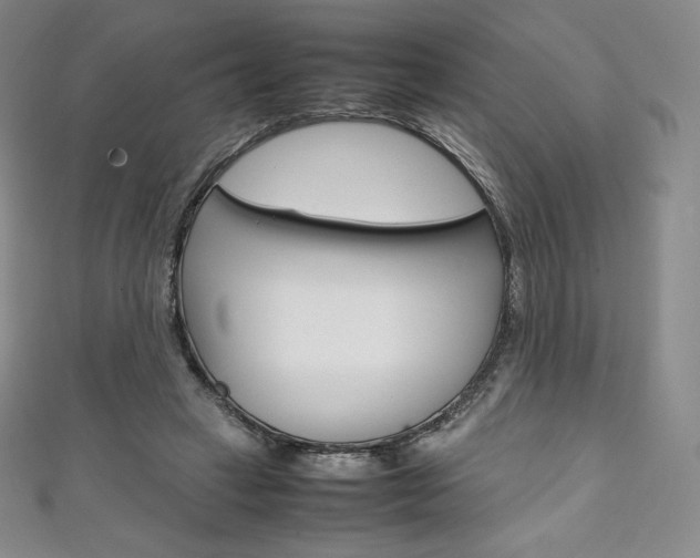 X0000111140449200906301020