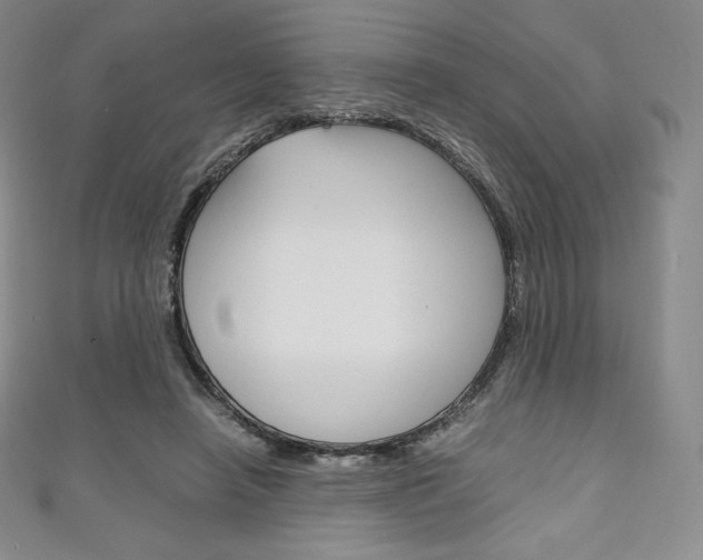 X0000111140450200906301020