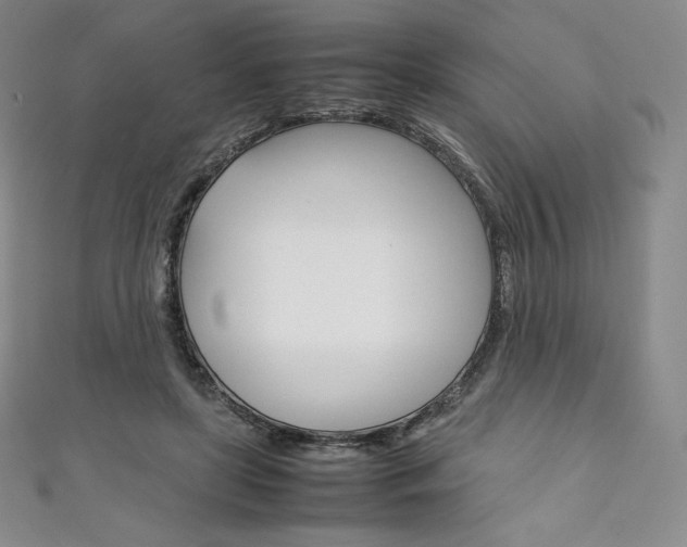 X0000111140451200906301020